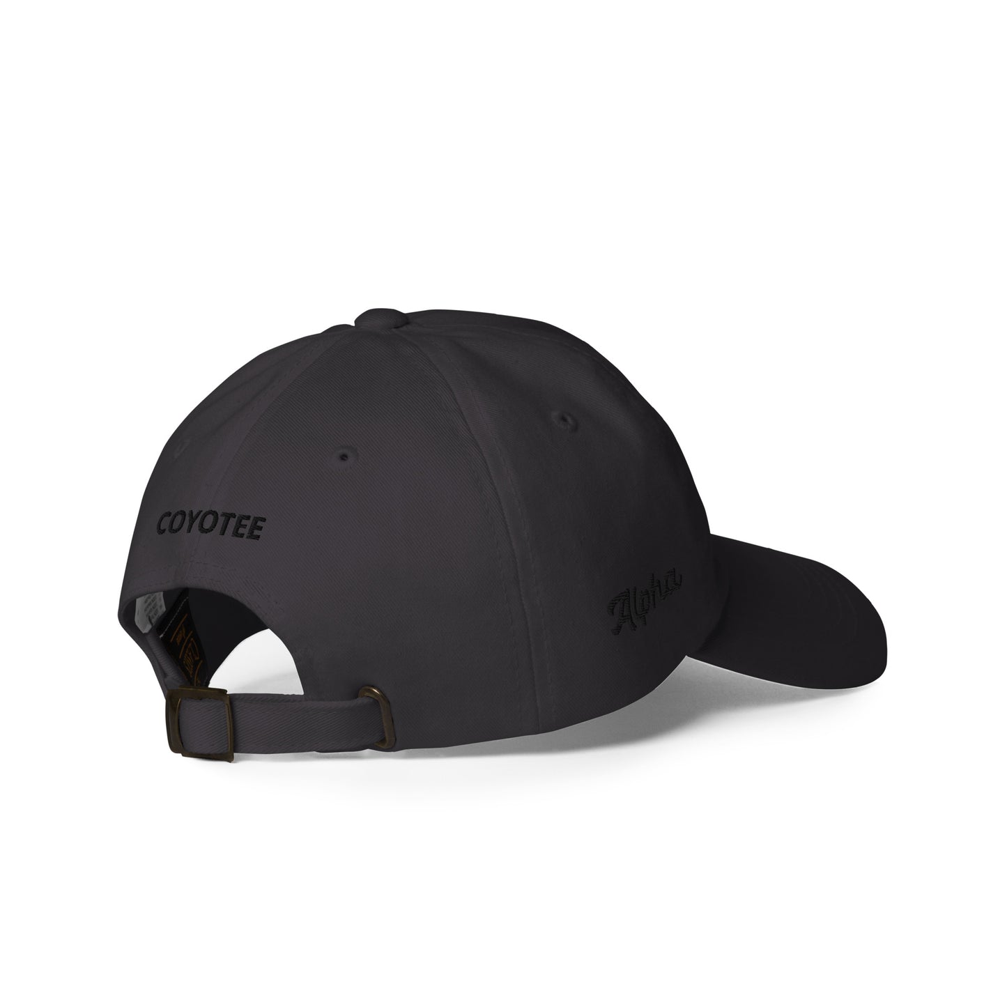 Men's Alpha Black Dad hat