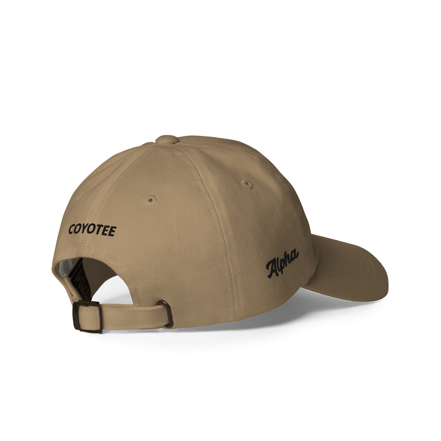 Men's Alpha Black Dad hat