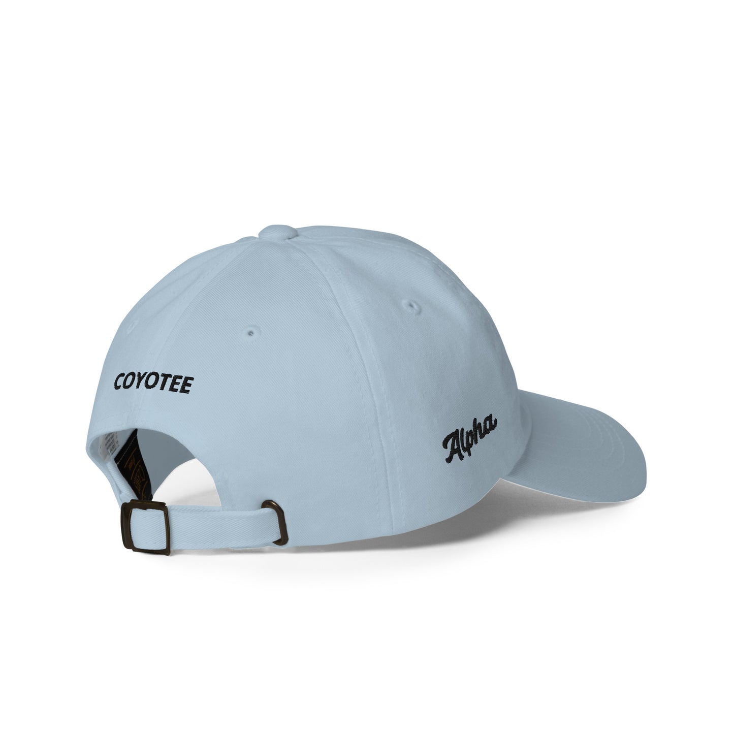 Men's Alpha Black Dad hat